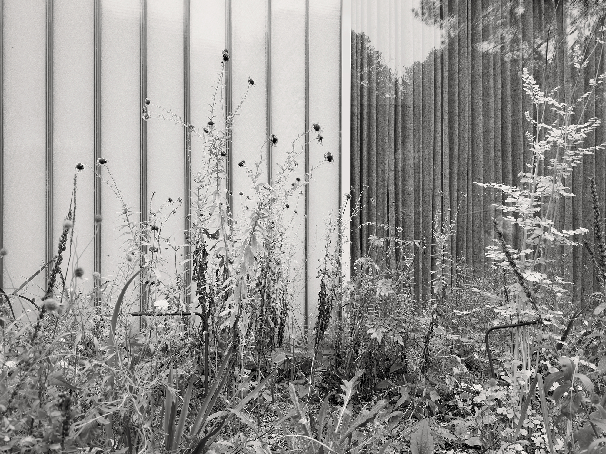 Christoph Radke, Berlin, Kleines George-Grosz-Museum, 2024